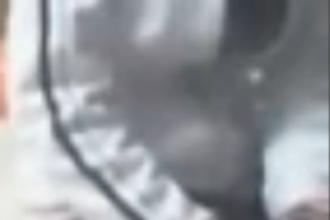 为国争光  越南洋洋
