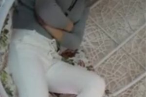 露脸气质女王调教骚奴5