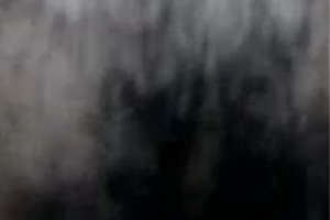 舔逼口交，第三次约炮已婚少妇，操爽了直接叫我老公