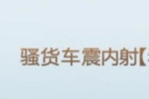 清晰对话骚货车震内射